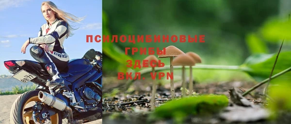 стаф Абинск