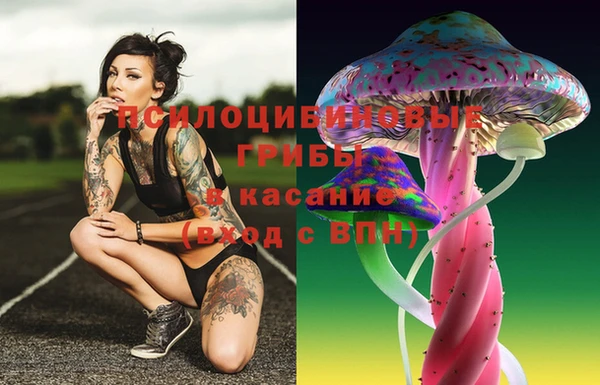 стаф Россошь