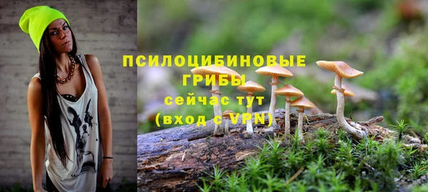 стаф Россошь