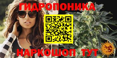 герыч Камышлов